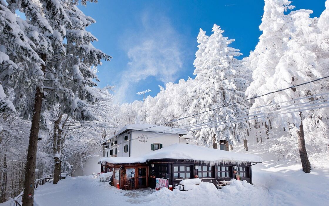 Ciaspolata di Gruppo al Lago della Ninfa Ciaspolata di Gruppo al Lago della Ninfa desktop picture