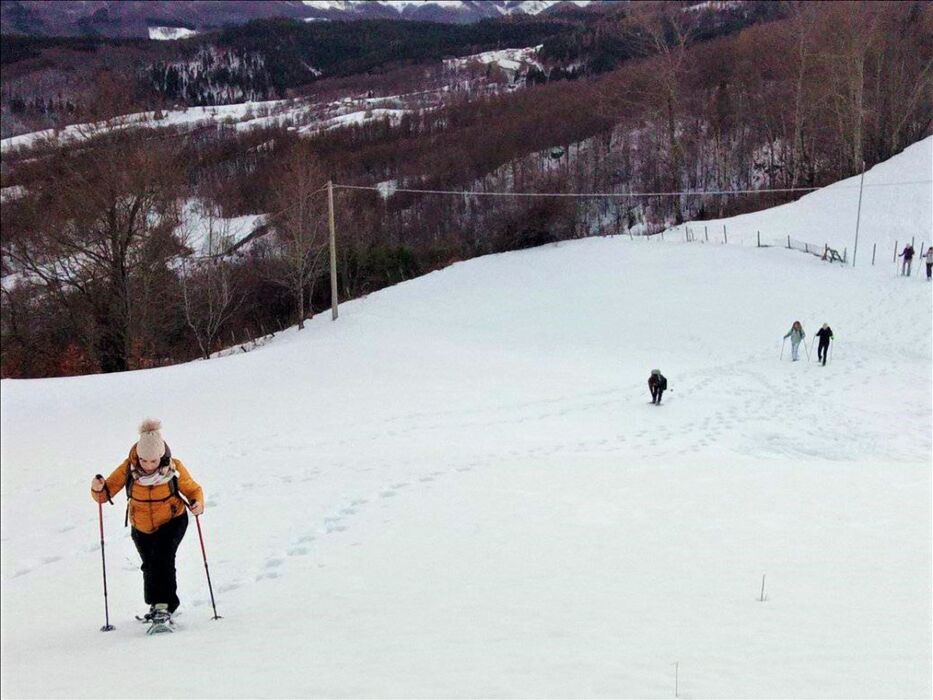 Ciaspolata al Tramonto al Lago della Ninfa (Ciaspole Incluse) Ciaspolata al Tramonto al Lago della Ninfa (Ciaspole Incluse) desktop picture