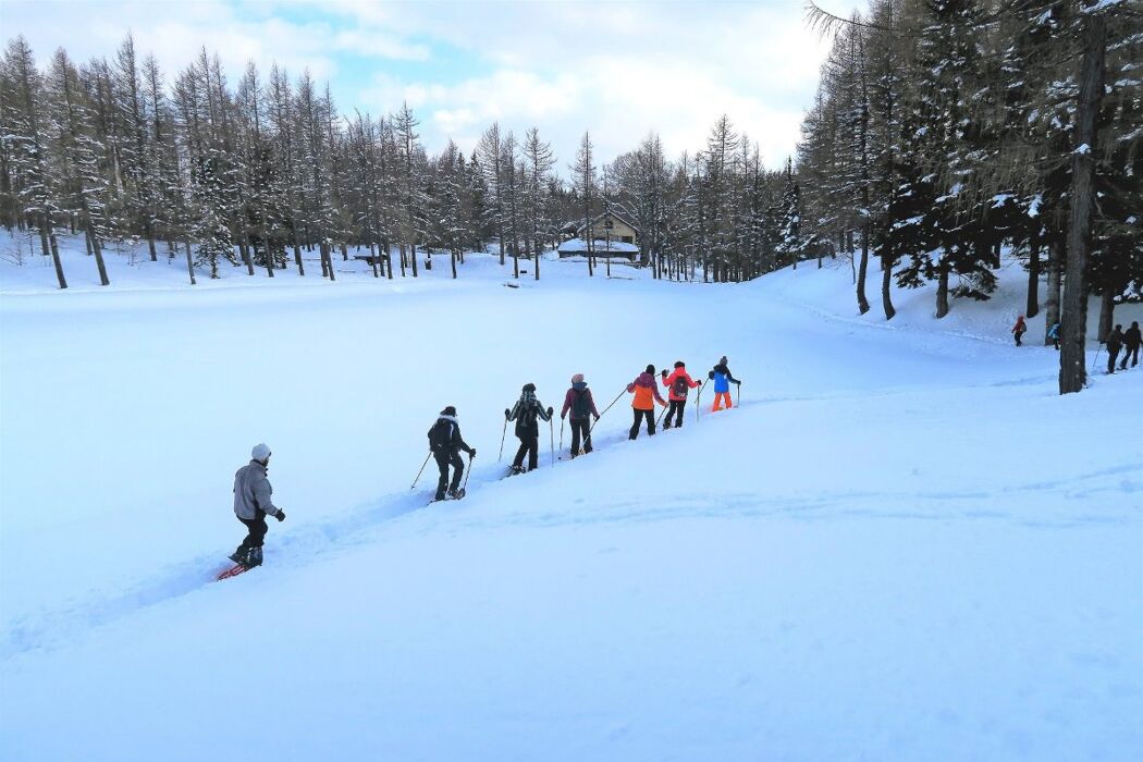 Ciaspolata di Gruppo al Lago della Ninfa Ciaspolata di Gruppo al Lago della Ninfa desktop picture