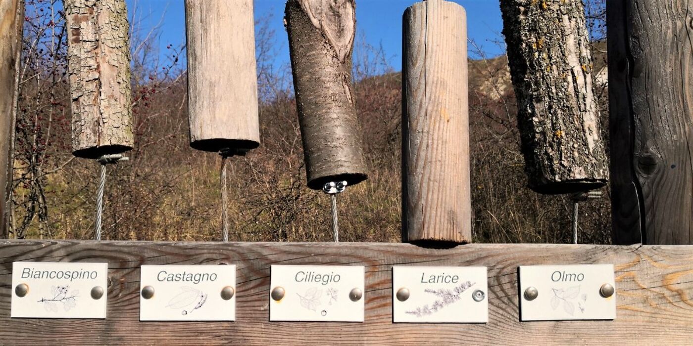 Trekking alle Salse di Nirano: I Vulcani del Modenese Trekking alle Salse di Nirano: I Vulcani del Modenese desktop picture