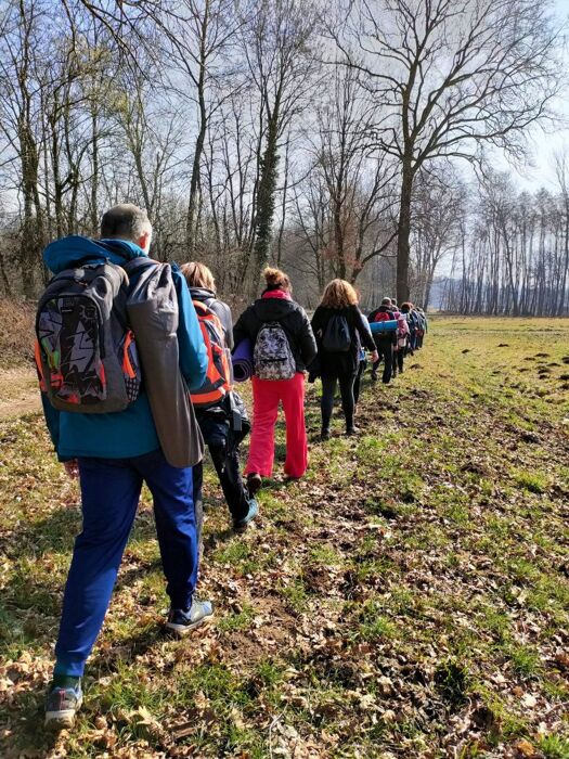 Shinrin-Yoku a Gattico: immergiti nella "Tua" Natura Shinrin-Yoku a Gattico: immergiti nella "Tua" Natura desktop picture