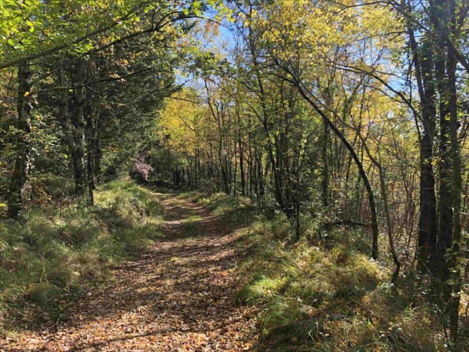 Madonna del Sasso e le Burraie: Escursione sui Monti Fiorentini Madonna del Sasso e le Burraie: Escursione sui Monti Fiorentini desktop picture