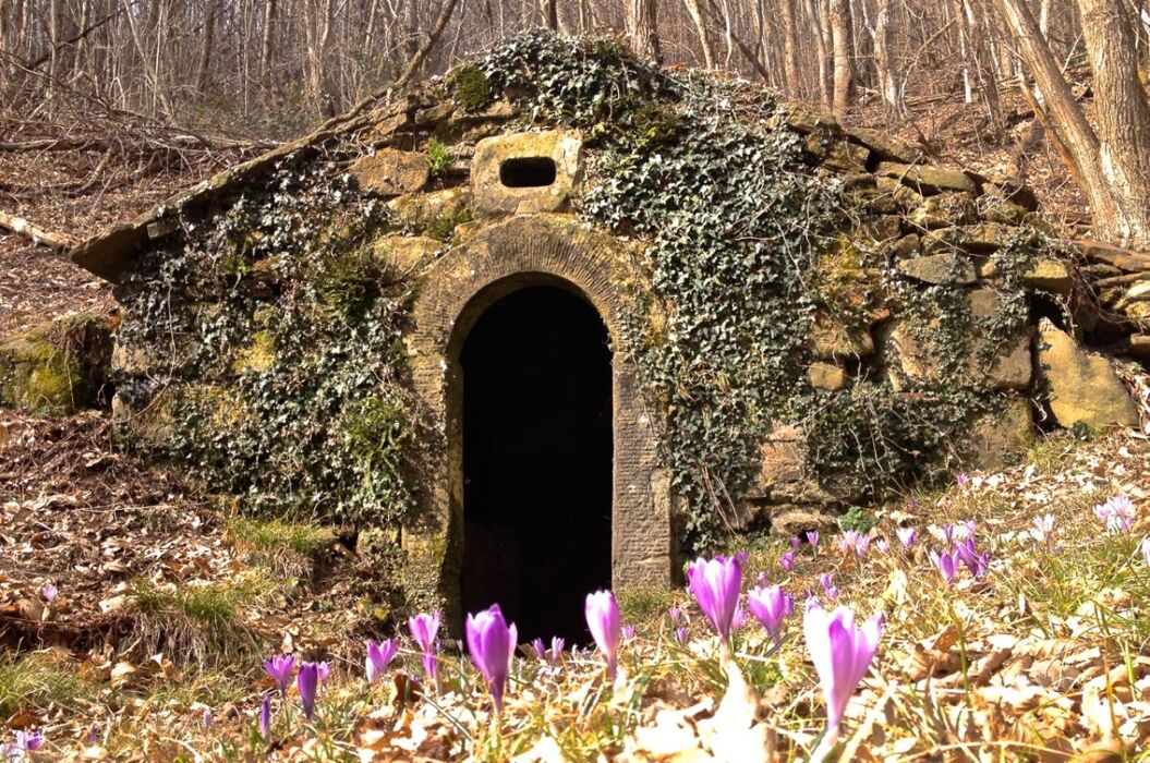 Madonna del Sasso e le Burraie: Escursione sui Monti Fiorentini Madonna del Sasso e le Burraie: Escursione sui Monti Fiorentini desktop picture