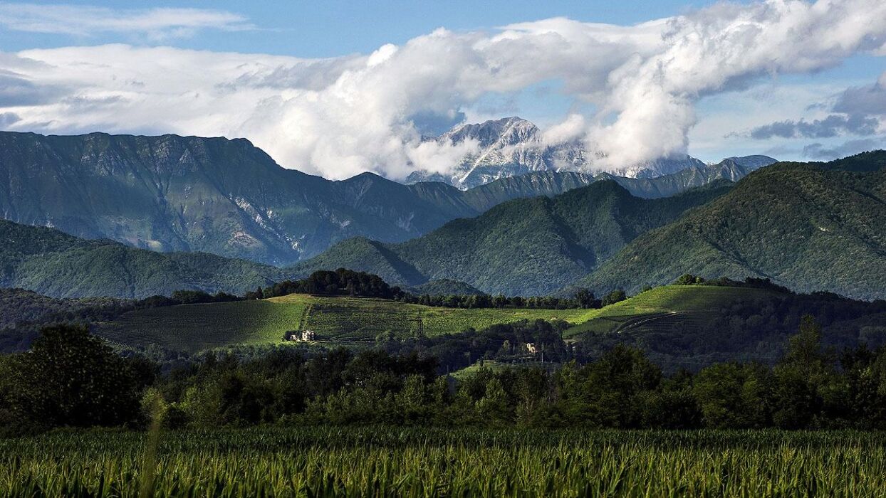Trekking tra i Castelli di Faedis con Degustazione in Cantina Trekking tra i Castelli di Faedis con Degustazione in Cantina desktop picture