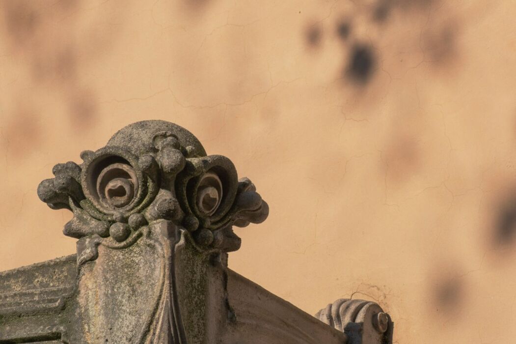 Torino Liberty: Passeggiata Culturale tra Fiori e Belve Torino Liberty: Passeggiata Culturale tra Fiori e Belve desktop picture