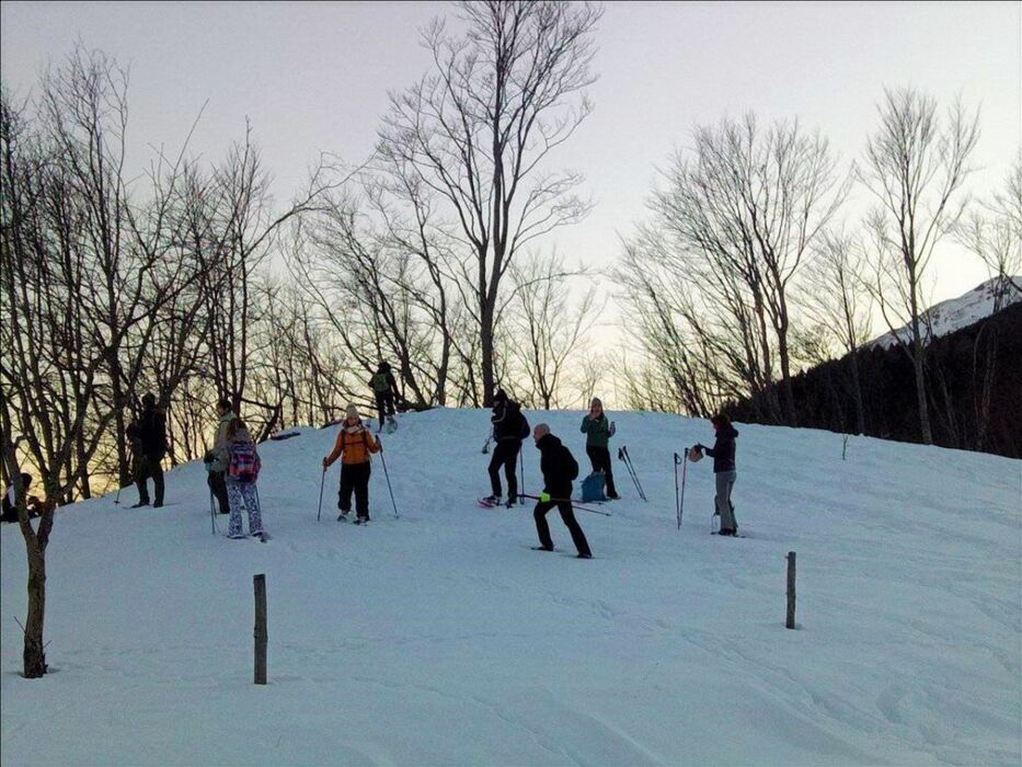 Ciaspolata al Tramonto al Lago della Ninfa (Ciaspole Non Incluse) Ciaspolata al Tramonto al Lago della Ninfa (Ciaspole Non Incluse) desktop picture