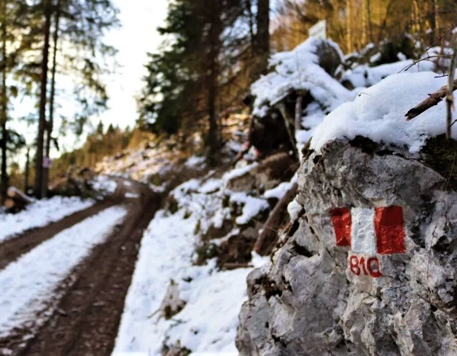 Ciaspolata nella storia: il Forte Campolongo Ciaspolata nella storia: il Forte Campolongo desktop picture