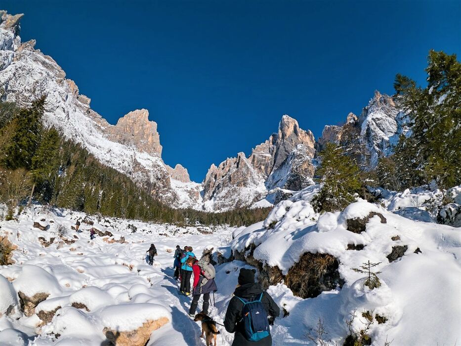 Ciaspolata Panoramica con Pranzo Tipico in Val Canali Ciaspolata Panoramica con Pranzo Tipico in Val Canali desktop picture