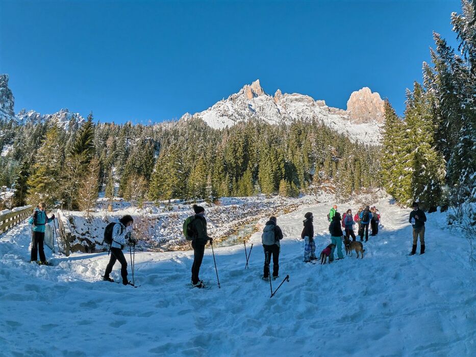 Ciaspolata Panoramica con Pranzo Tipico in Val Canali Ciaspolata Panoramica con Pranzo Tipico in Val Canali desktop picture