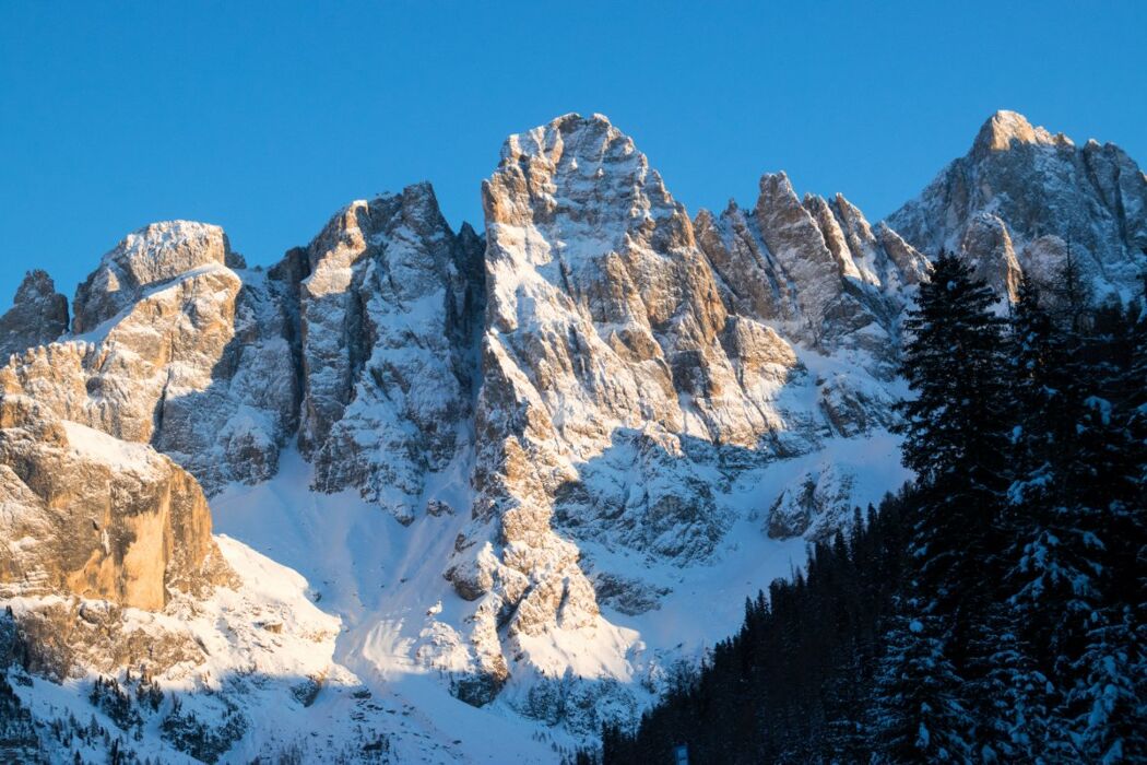 Ciaspolata con Vista sulle Maestose Pale di San Martino Ciaspolata con Vista sulle Maestose Pale di San Martino desktop picture