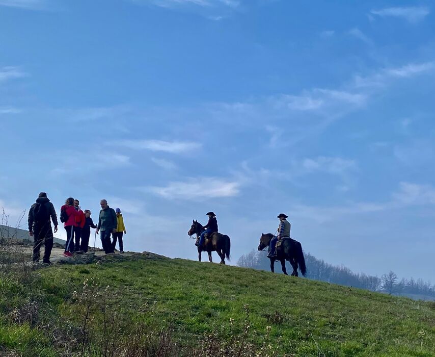 Castellarano e la Panchina Gigante: Camminata con Pizzata finale Castellarano e la Panchina Gigante: Camminata con Pizzata finale desktop picture