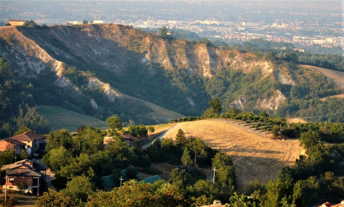 Castellarano e la Panchina Gigante: Camminata con Pizzata finale Castellarano e la Panchina Gigante: Camminata con Pizzata finale desktop picture