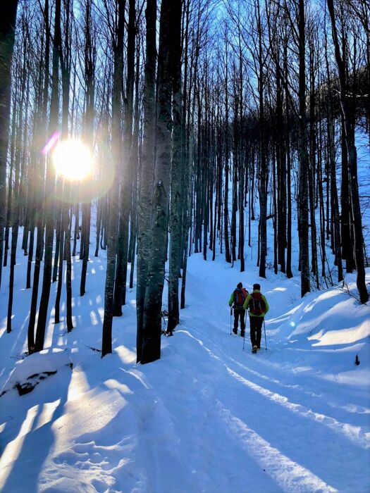 Ciaspolata al Lago Santo Parmense Ciaspolata al Lago Santo Parmense desktop picture