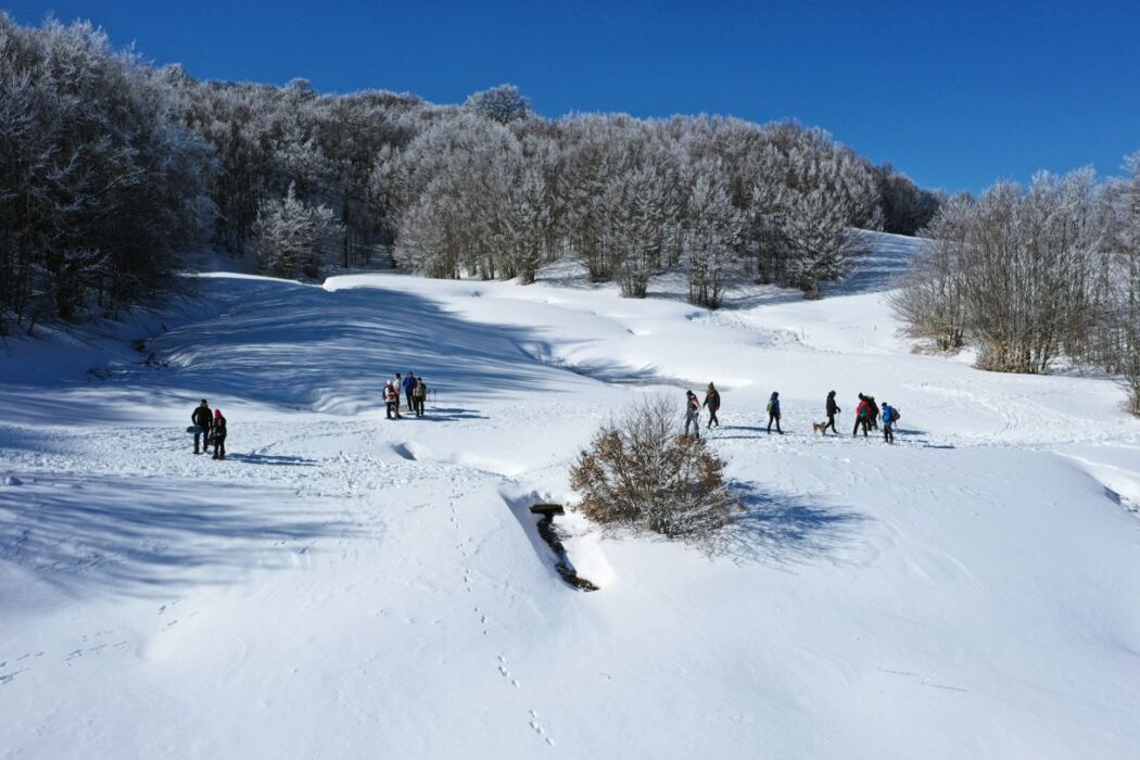 Ciaspolata ai piedi del Monte Ventasso con discesa al tramonto Ciaspolata ai piedi del Monte Ventasso con discesa al tramonto desktop picture
