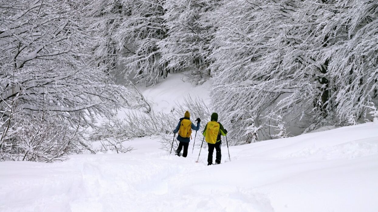 Ciaspolata ai piedi del Monte Ventasso Ciaspolata ai piedi del Monte Ventasso desktop picture