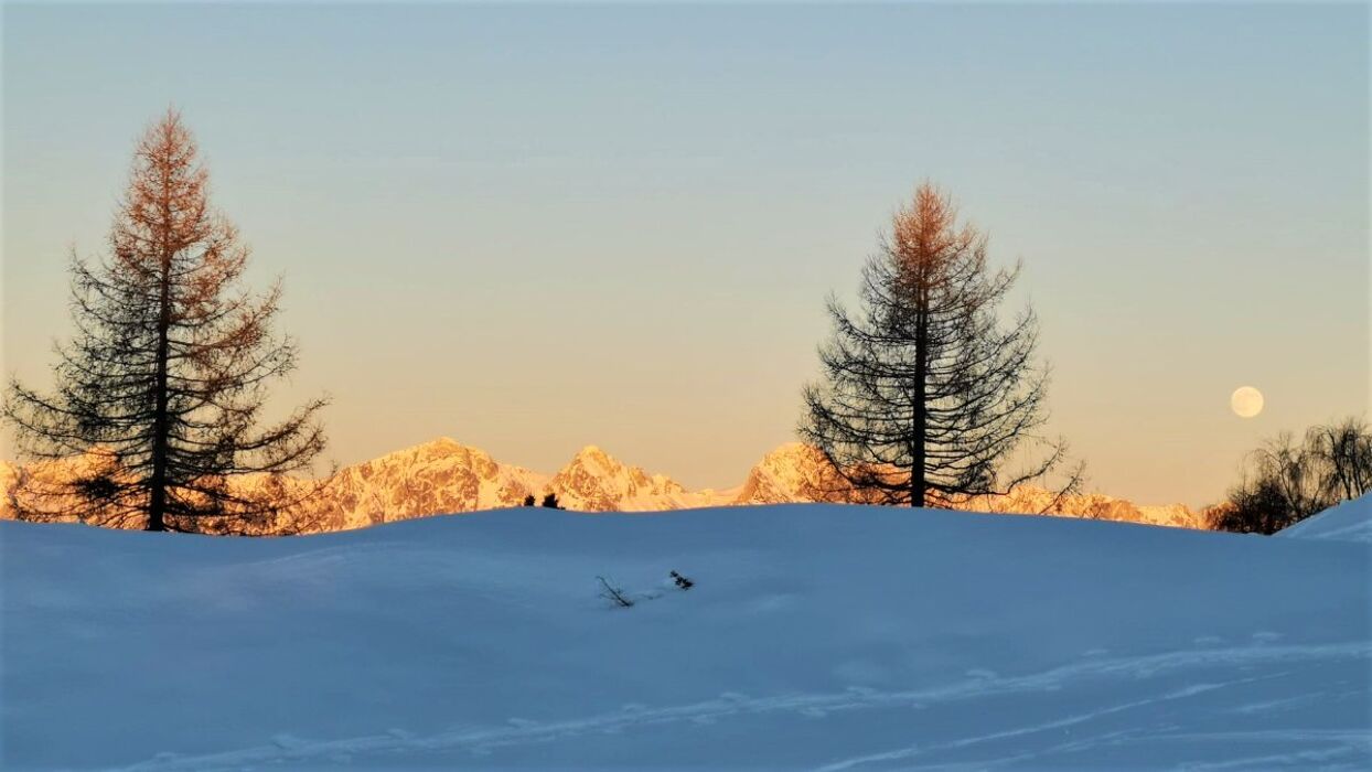 In Cima al Col Toront: Ciaspolata sull'Altopiano del Nevegal (Ciaspole Non Incluse) In Cima al Col Toront: Ciaspolata sull'Altopiano del Nevegal (Ciaspole Non Incluse) desktop picture
