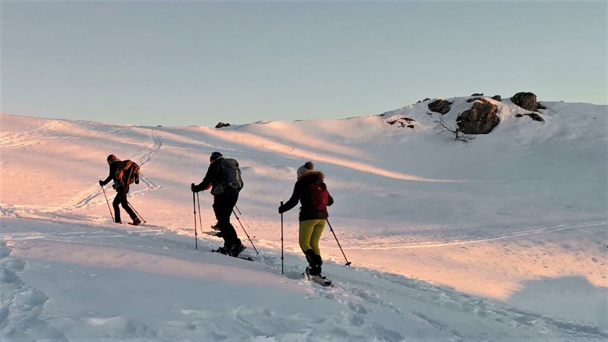 In Cima al Col Toront: Ciaspolata sull'Altopiano del Nevegal (Ciaspole Non Incluse) In Cima al Col Toront: Ciaspolata sull'Altopiano del Nevegal (Ciaspole Non Incluse) desktop picture
