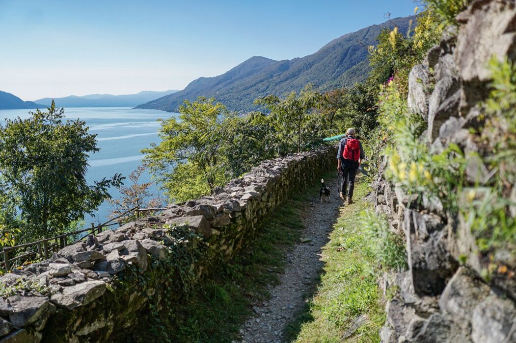 Da Cannero a Cannobio: Escursione sul Lago Maggiore Da Cannero a Cannobio: Escursione sul Lago Maggiore desktop picture