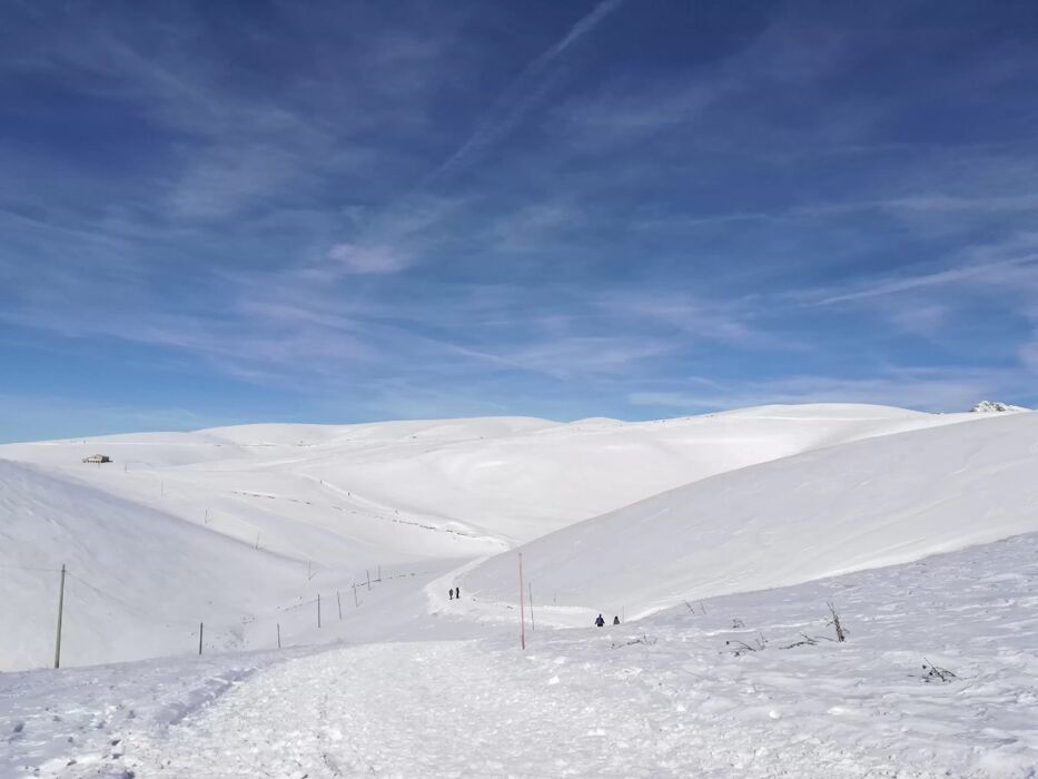 Ciaspolata panoramica a Bosco Chiesanuova Ciaspolata panoramica a Bosco Chiesanuova desktop picture