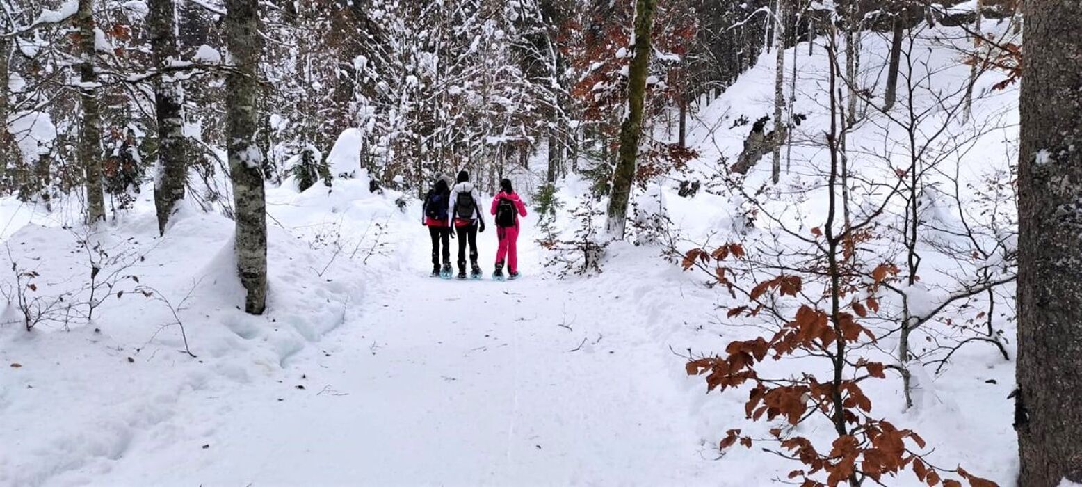 Ciaspolata in Val Saisera (Ciaspole Incluse) Ciaspolata in Val Saisera (Ciaspole Incluse) desktop picture