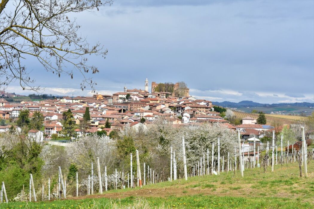 I Sentieri ad anello di Montemagno: il Castello e le sue dolci colline I Sentieri ad anello di Montemagno: il Castello e le sue dolci colline desktop picture