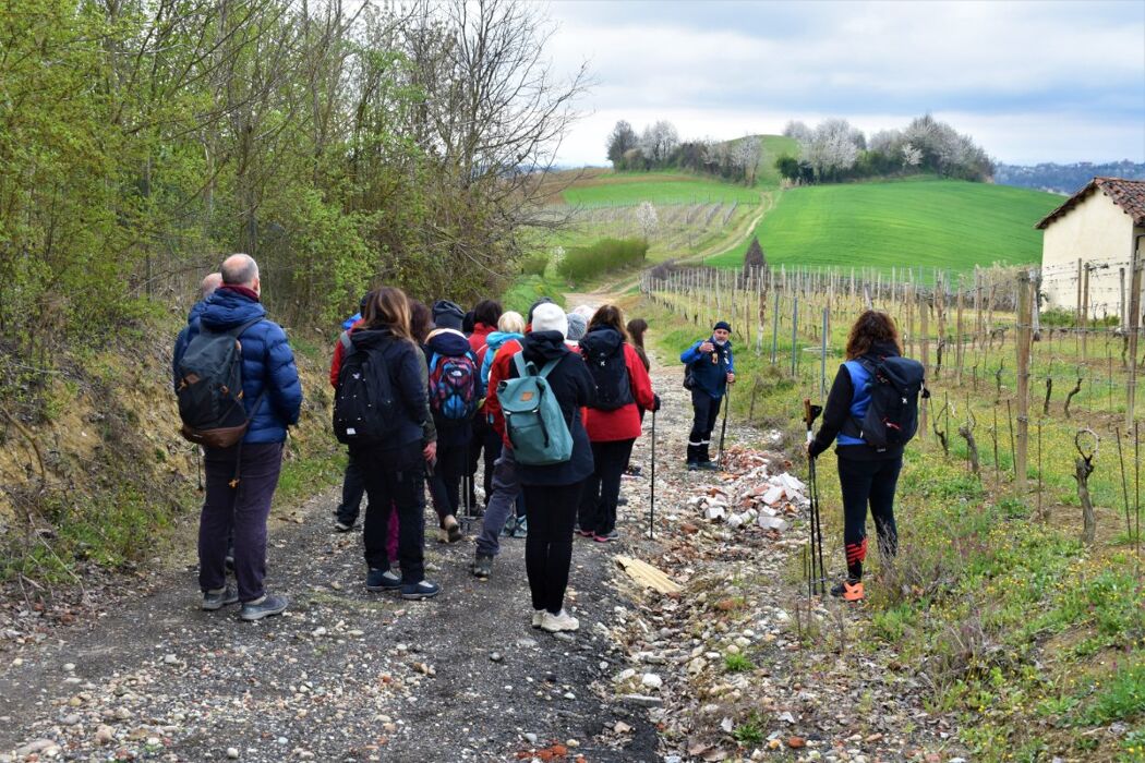 I Sentieri ad anello di Montemagno: il Castello e le sue dolci colline I Sentieri ad anello di Montemagno: il Castello e le sue dolci colline desktop picture