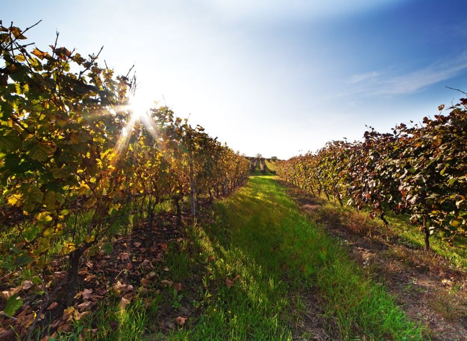 Escursione ad Anello nella Valle del Grana Escursione ad Anello nella Valle del Grana desktop picture