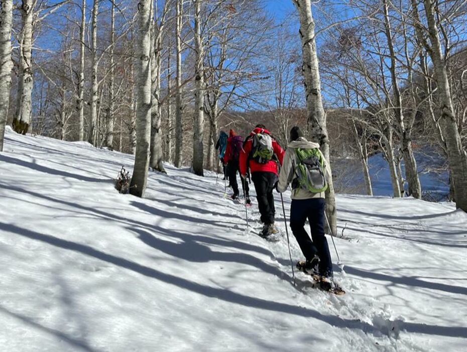 Ciaspolata di Gruppo in Vetta al Monte Autore Ciaspolata di Gruppo in Vetta al Monte Autore desktop picture