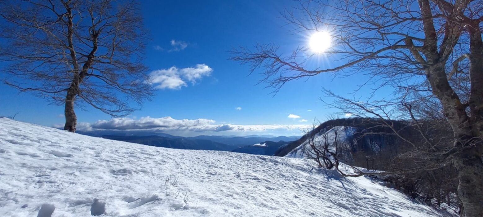 Ciaspolata di Gruppo in Vetta al Monte Autore Ciaspolata di Gruppo in Vetta al Monte Autore desktop picture