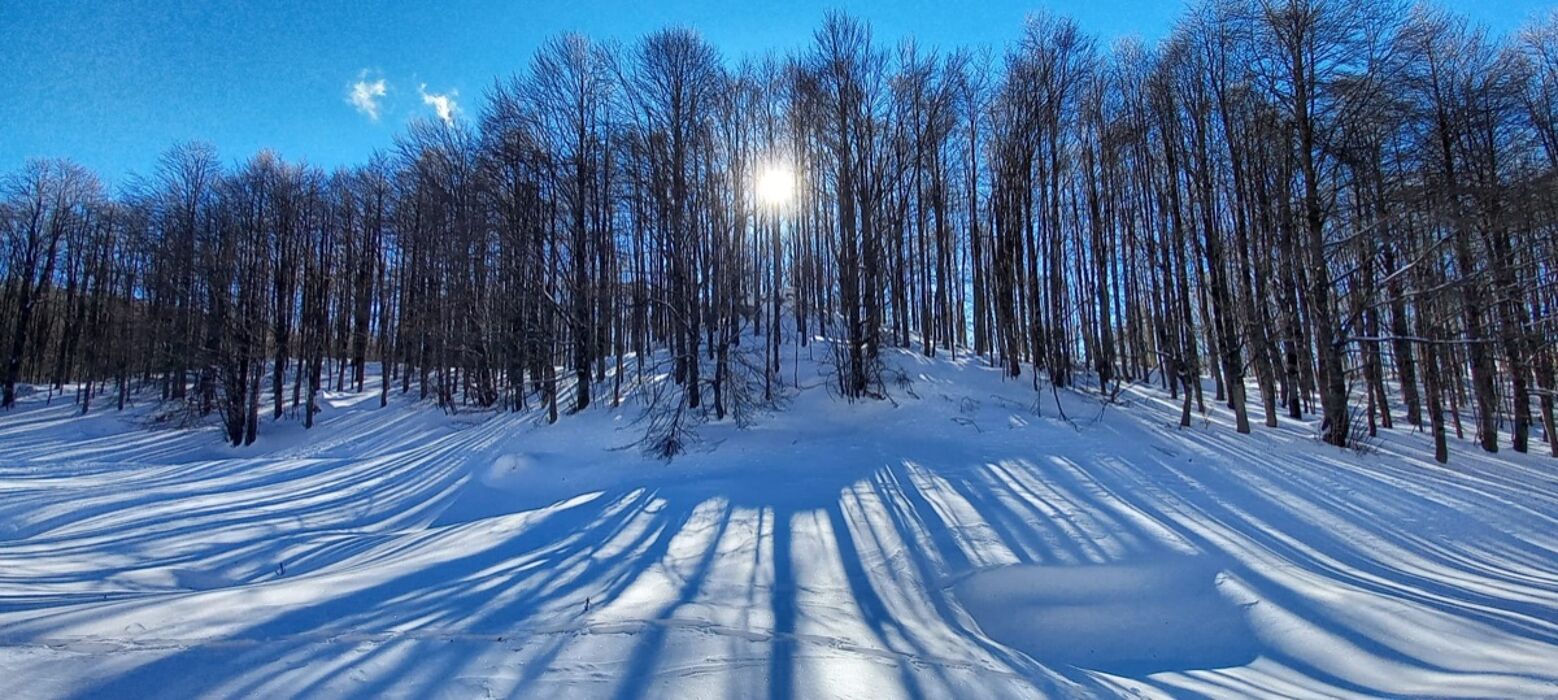 Ciaspolata di Gruppo in Vetta al Monte Autore Ciaspolata di Gruppo in Vetta al Monte Autore desktop picture