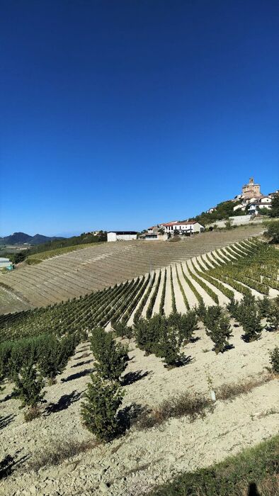 L'Anello di Treville: Passeggiata sui Colli Monferrini L'Anello di Treville: Passeggiata sui Colli Monferrini desktop picture