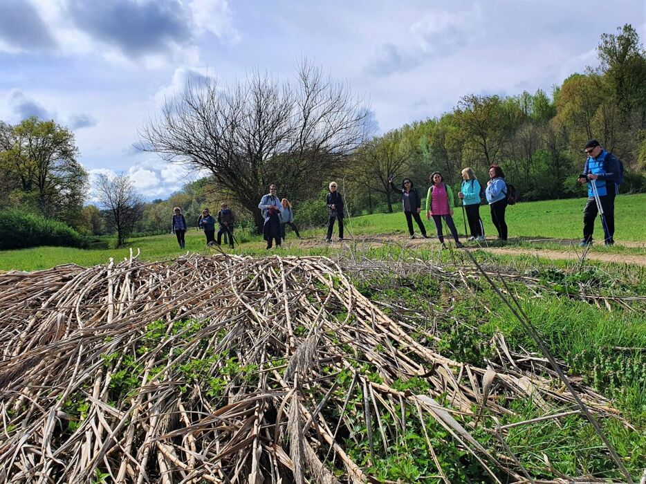 I Sentieri ad anello di Portacomaro: immersione nella Natura Agreste I Sentieri ad anello di Portacomaro: immersione nella Natura Agreste desktop picture