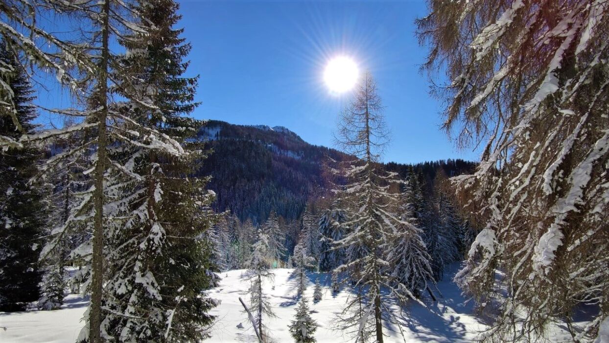 Ciaspolata alle Pendici del Pelmo con Pranzo in Rifugio (Ciaspole Non Incluse) Ciaspolata alle Pendici del Pelmo con Pranzo in Rifugio (Ciaspole Non Incluse) desktop picture