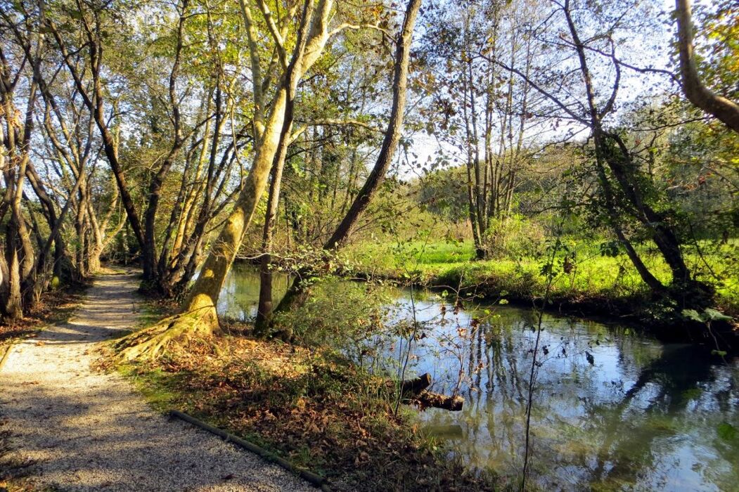 Passeggiata al tramonto nel Parco del Sile Passeggiata al tramonto nel Parco del Sile desktop picture