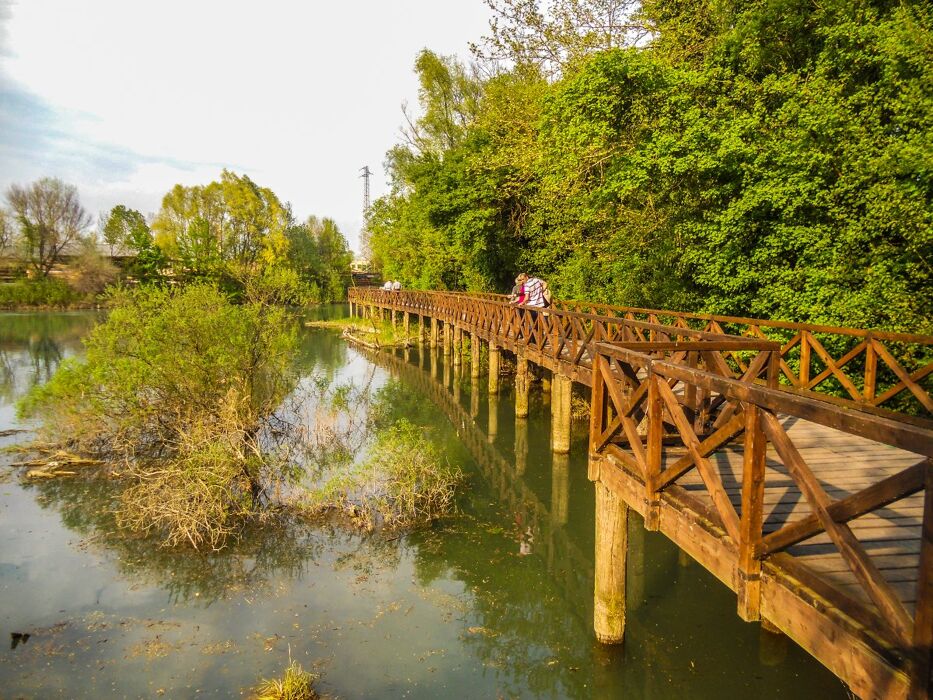 Passeggiata al tramonto nel Parco del Sile Passeggiata al tramonto nel Parco del Sile desktop picture
