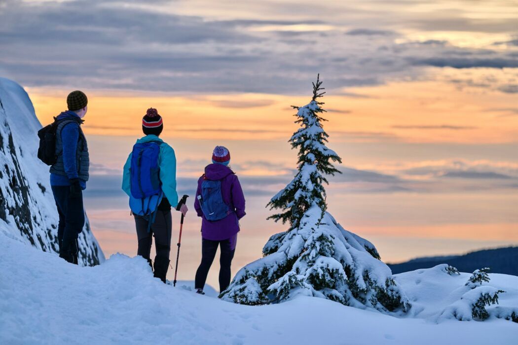 Ciaspolata Sotto le Stelle della Val Servin Ciaspolata Sotto le Stelle della Val Servin desktop picture