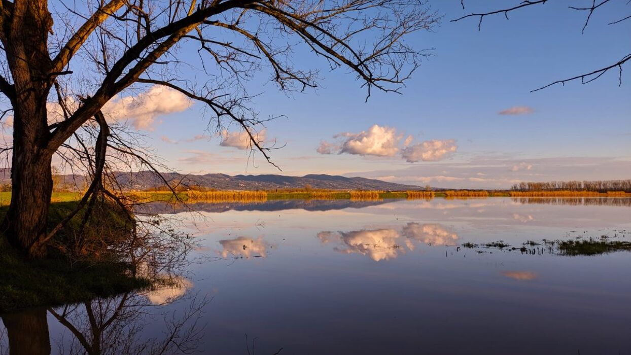 Tramonto sulla Laguna: Passeggiata nella Riserva Padule di Fucecchio Tramonto sulla Laguna: Passeggiata nella Riserva Padule di Fucecchio desktop picture