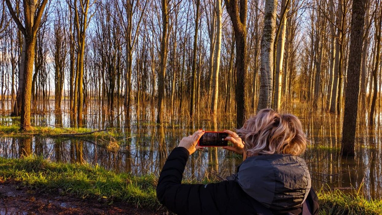 Tramonto sulla Laguna: Passeggiata nella Riserva Padule di Fucecchio Tramonto sulla Laguna: Passeggiata nella Riserva Padule di Fucecchio desktop picture