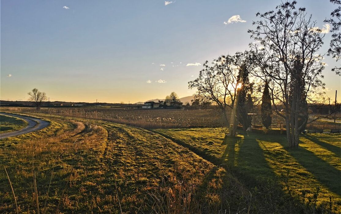 Tramonto sulla Laguna: Passeggiata nella Riserva Padule di Fucecchio Tramonto sulla Laguna: Passeggiata nella Riserva Padule di Fucecchio desktop picture