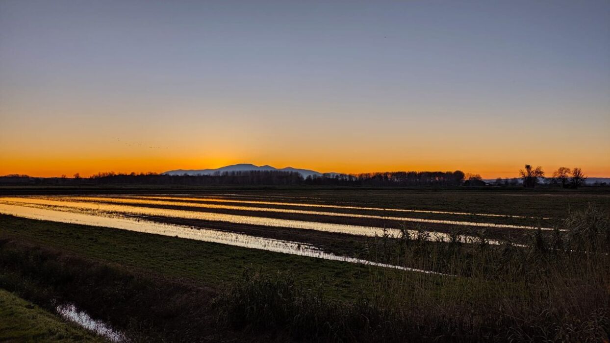 Tramonto sulla Laguna: Passeggiata nella Riserva Padule di Fucecchio Tramonto sulla Laguna: Passeggiata nella Riserva Padule di Fucecchio desktop picture