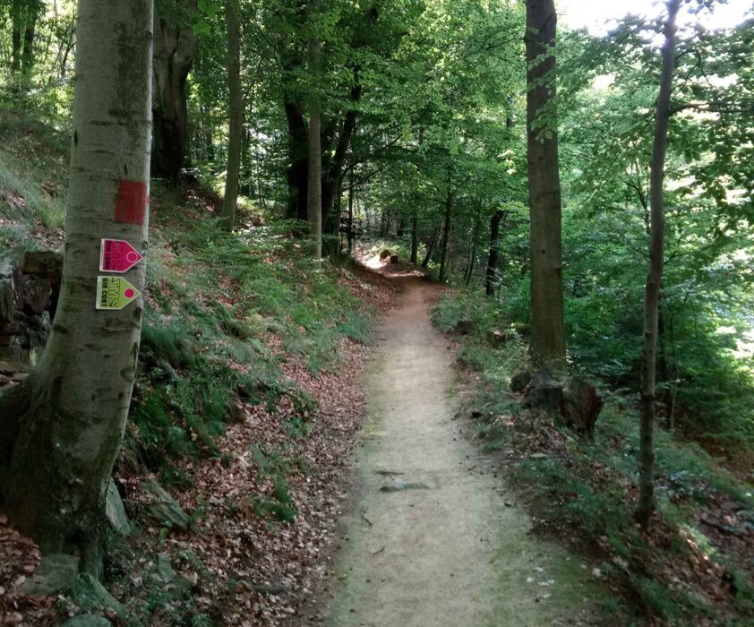 L'Anello in Val Malone: La Cappella del Bandito e il Mulino a Vento L'Anello in Val Malone: La Cappella del Bandito e il Mulino a Vento desktop picture