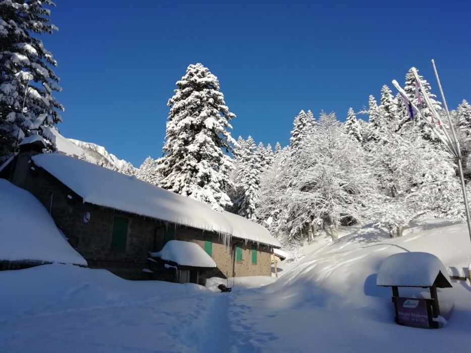Ciaspolata nella Natura dell'Abetina Reale con discesa al tramonto Ciaspolata nella Natura dell'Abetina Reale con discesa al tramonto desktop picture