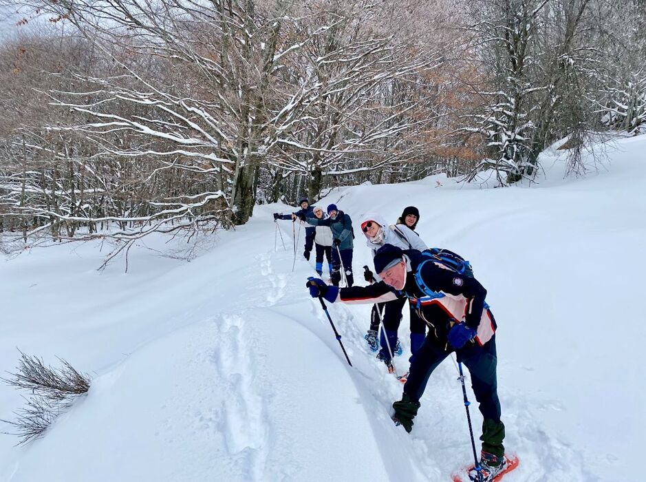 Ciaspolata nella Natura dell'Abetina Reale Ciaspolata nella Natura dell'Abetina Reale desktop picture