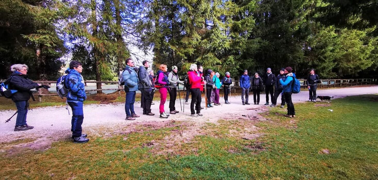 Escursione in Cansiglio: il Bosco dei Dogi Escursione in Cansiglio: il Bosco dei Dogi desktop picture