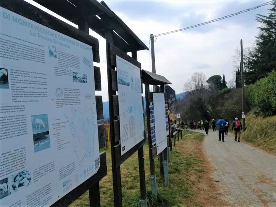 Trekking tra le Piramidi di Montevecchia e le Sorgenti del Curone Trekking tra le Piramidi di Montevecchia e le Sorgenti del Curone desktop picture