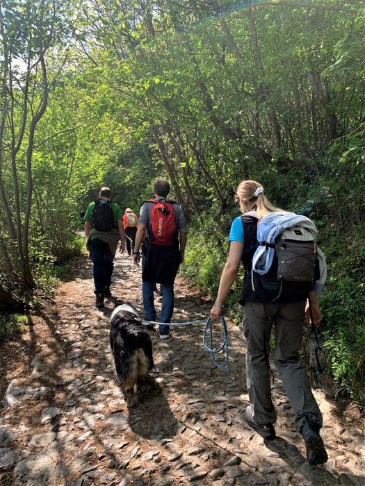 Passeggiata a San Tomaso, il pianoro con vista sui Laghi Briantei Passeggiata a San Tomaso, il pianoro con vista sui Laghi Briantei desktop picture