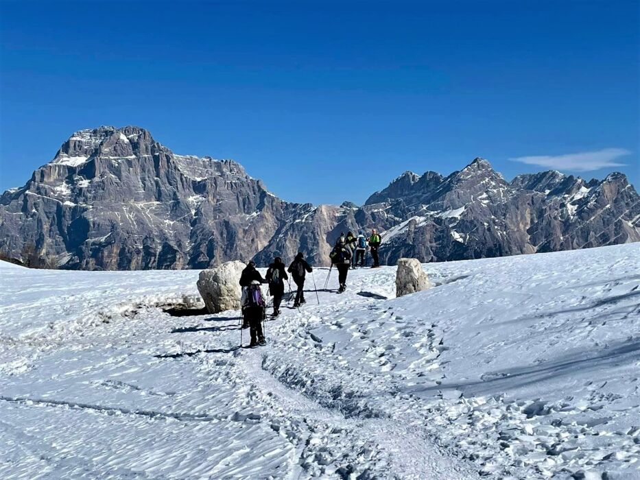 Ciaspolata panoramica: il Pelmo e le Rocchette di Prendera Ciaspolata panoramica: il Pelmo e le Rocchette di Prendera desktop picture