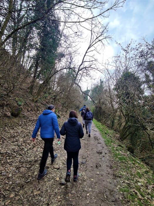 Visita Guidata al Castello di Torrechiara nelle Colline Parmensi Visita Guidata al Castello di Torrechiara nelle Colline Parmensi desktop picture