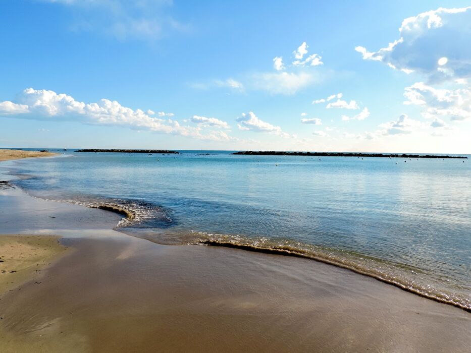 Yoga tra le Dune e il Mare di Castel Porziano Yoga tra le Dune e il Mare di Castel Porziano desktop picture