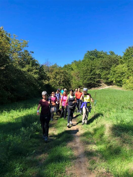 Trekking nella Valle del Rio Tassobbio Trekking nella Valle del Rio Tassobbio desktop picture